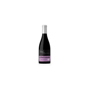 ДЖИ ПИ ШАНЕ ФЕШЪН КАСИС 0.250 - JP CHENET FASHION BLACKCURRANT 0.250 - Дистрибуция и логистика ЕТ Г. Гайдов